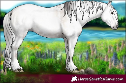 Horse Color:Gray White Spotted Classic Champagne Onyx