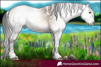 Horse Color:Gray White Spotted Sable Champagne Ice Onyx
