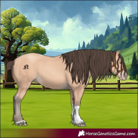 Horse Color:Amber Champagne Tobiano 