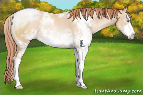 Horse Color:Sable Champagne Pearl Sabino Rabicano