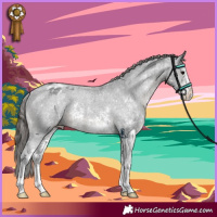 Horse Color:Black Sabino Varnish Rabicano