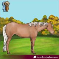 Horse Color:Silver Black Pearl 