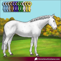 Horse Color:Black Sabino