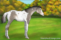 Horse Color:Brown Dun Mushroom Splash Tobiano 