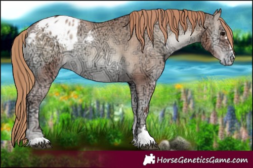 Horse Color:Blue Onyx Ice Pearl Blanket Rabicano