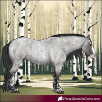 Horse Color:Blue Roan Sabino Splash  and Grullo Roan Sabino Splash 