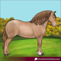 Horse Color:Chestnut Pearl 