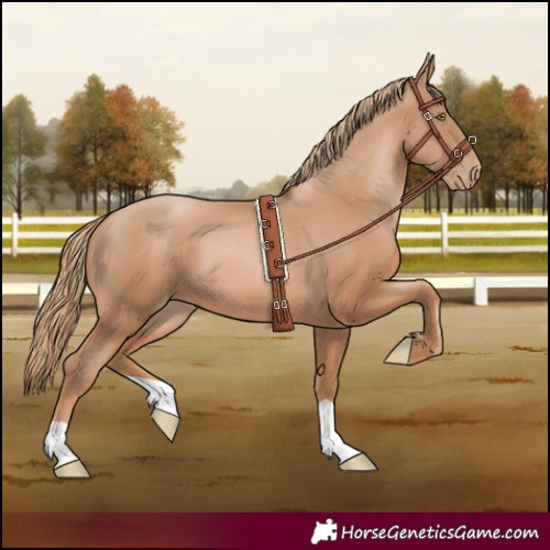 Horse Color:Chestnut Pearl 