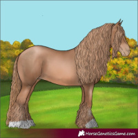 Horse Color:Liver Chestnut Pearl 