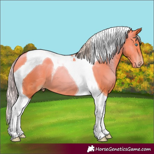 Horse Color:Silver Amber Champagne Pearl Tobiano 
