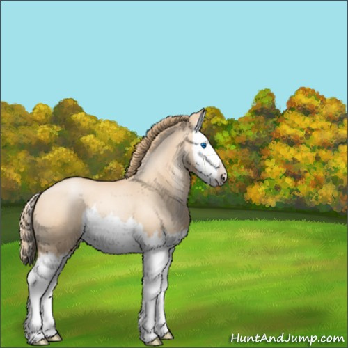 Horse Color:Gold Champagne Roan Pearl Splash