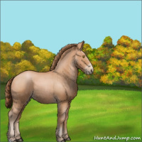 Horse Color:Brown Pearl 