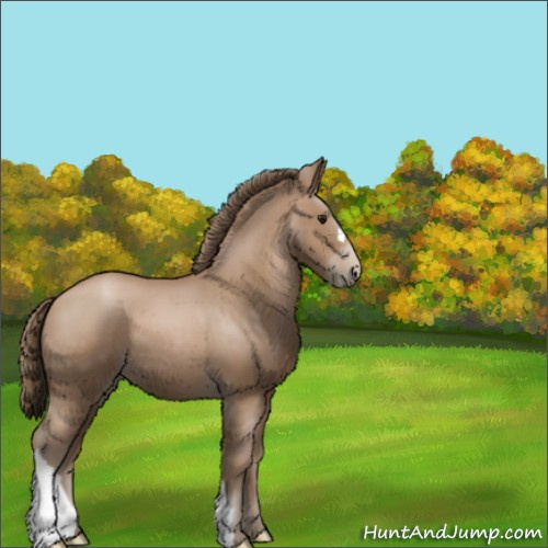 Horse Color:Black Pearl 