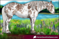 Horse Color:Silver Black Sabino 