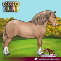 Horse Color:Chestnut Pearl 