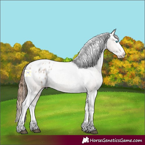 Horse Color:Bay Roan Dun Splash Tobiano Appaloosa 