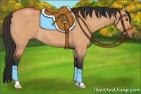 Horse Color:Bay Dun