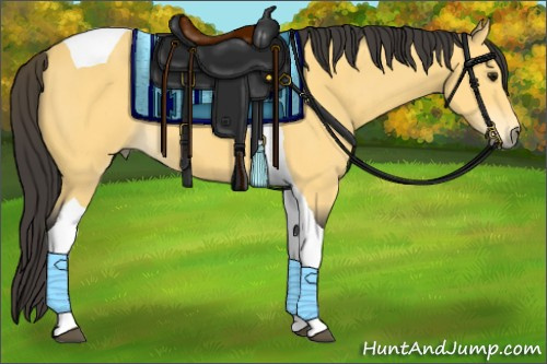 Horse Color:Buckskin Tobiano 