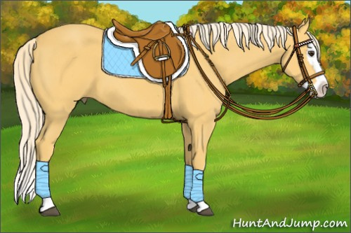 Horse Color:Palomino Sabino Splash 