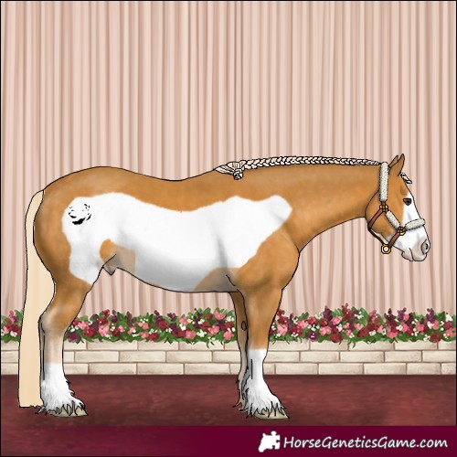 Horse Color:Palomino Frame 