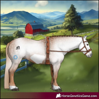 Horse Color:Gray Chestnut Frame 
