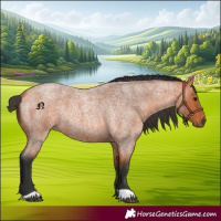 Horse Color:Bay Roan Rabicano 