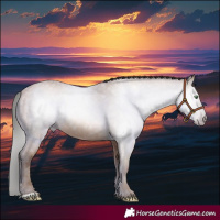 Horse Color:Gray Amber Champagne 