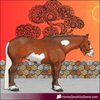 Horse Color:Silver Bay Frame