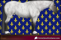 Horse Color:Grullo Roan Rabicano 