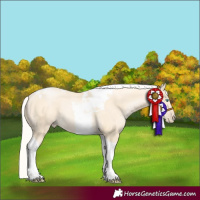 Horse Color:Silver Buckskin Pearl Tobiano 
