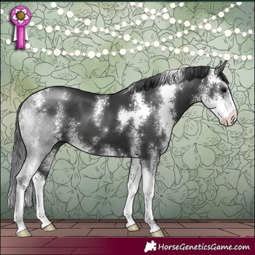 Horse Color:Black Sabino