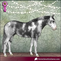 Horse Color:Black Sabino