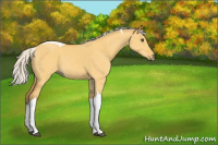 Horse Color:Silver Buckskin Dun Tobiano