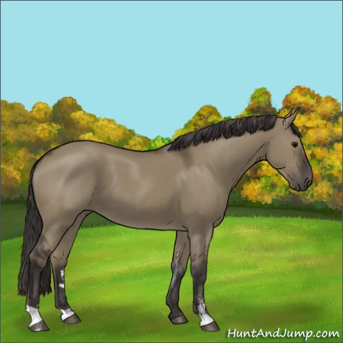 Horse Color:Smoky Grullo Sabino