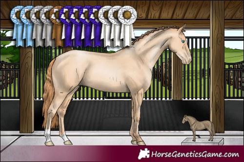 Horse Color:Amber Champagne Pearl 
