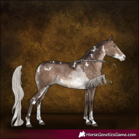 Horse Color:White Spotted Silver Brown Dun Sabino 