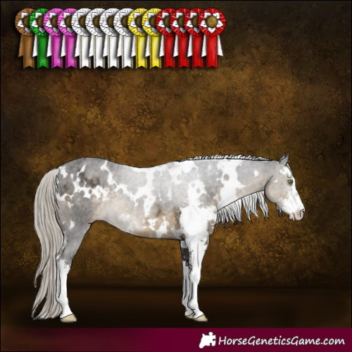 Horse Color:White Spotted Silver Smoky Black Sabino 