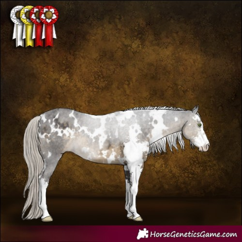 Horse Color:White Spotted Silver Smoky Black Sabino 