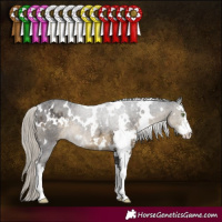 Horse Color:White Spotted Silver Smoky Black Sabino 