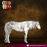 Horse Color:White Spotted Silver Smoky Black Sabino 