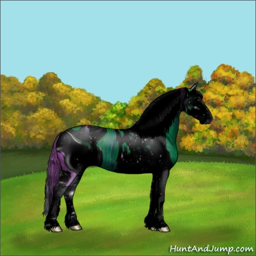 Horse Color:ERROR: UNKNOWN ANOMALY