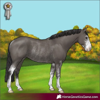 Horse Color:Smoky Grullo Sabino Rabicano