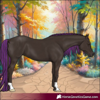 Horse Color:Painted Liver Chestnut