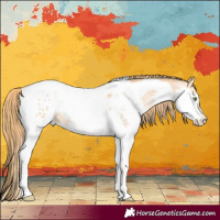 Horse Color:Chestnut Pearl Splash Tobiano Appaloosa 