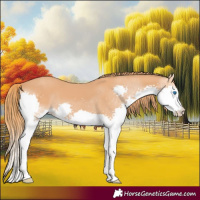 Horse Color:Chestnut Splash 
