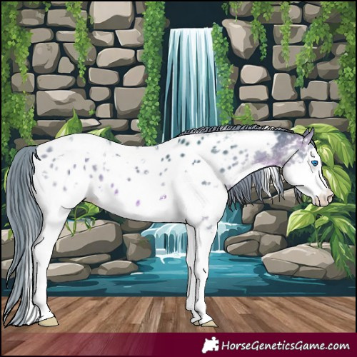 Horse Color:Watercolor Brown Splash Tobiano Appaloosa