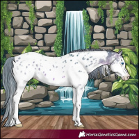 Horse Color:Watercolor Brown Splash Tobiano Appaloosa 