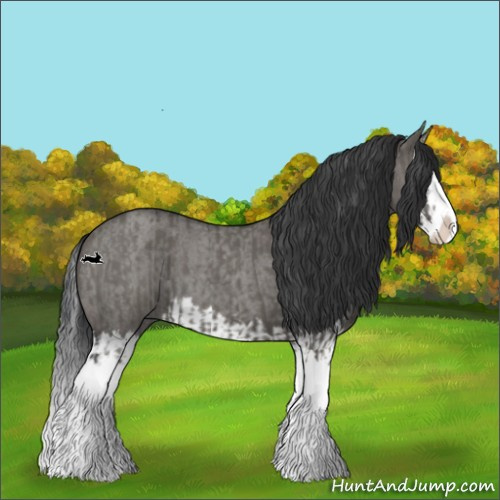 Horse Color:Grullo Splash  and Grullo Roan Splash 