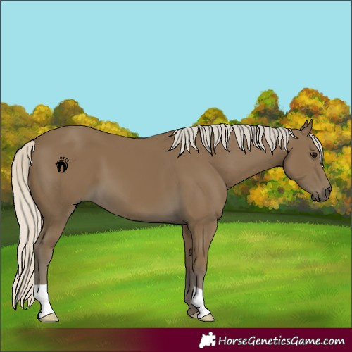 Horse Color:Silver Smoky Black 