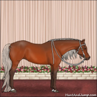 Horse Color:Silver Brown 